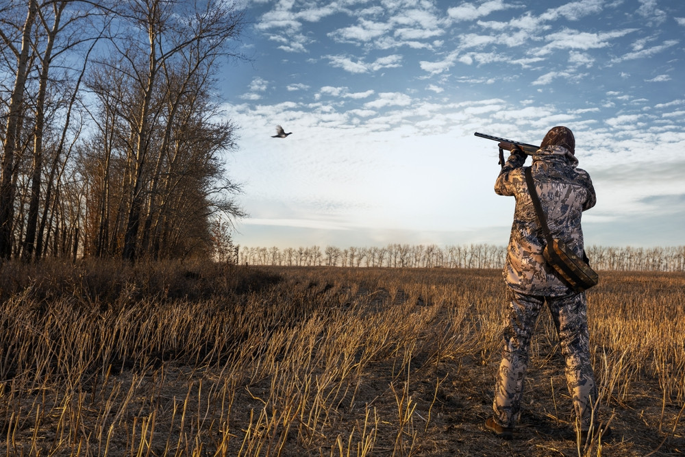 Websalute | Vvox tweet media