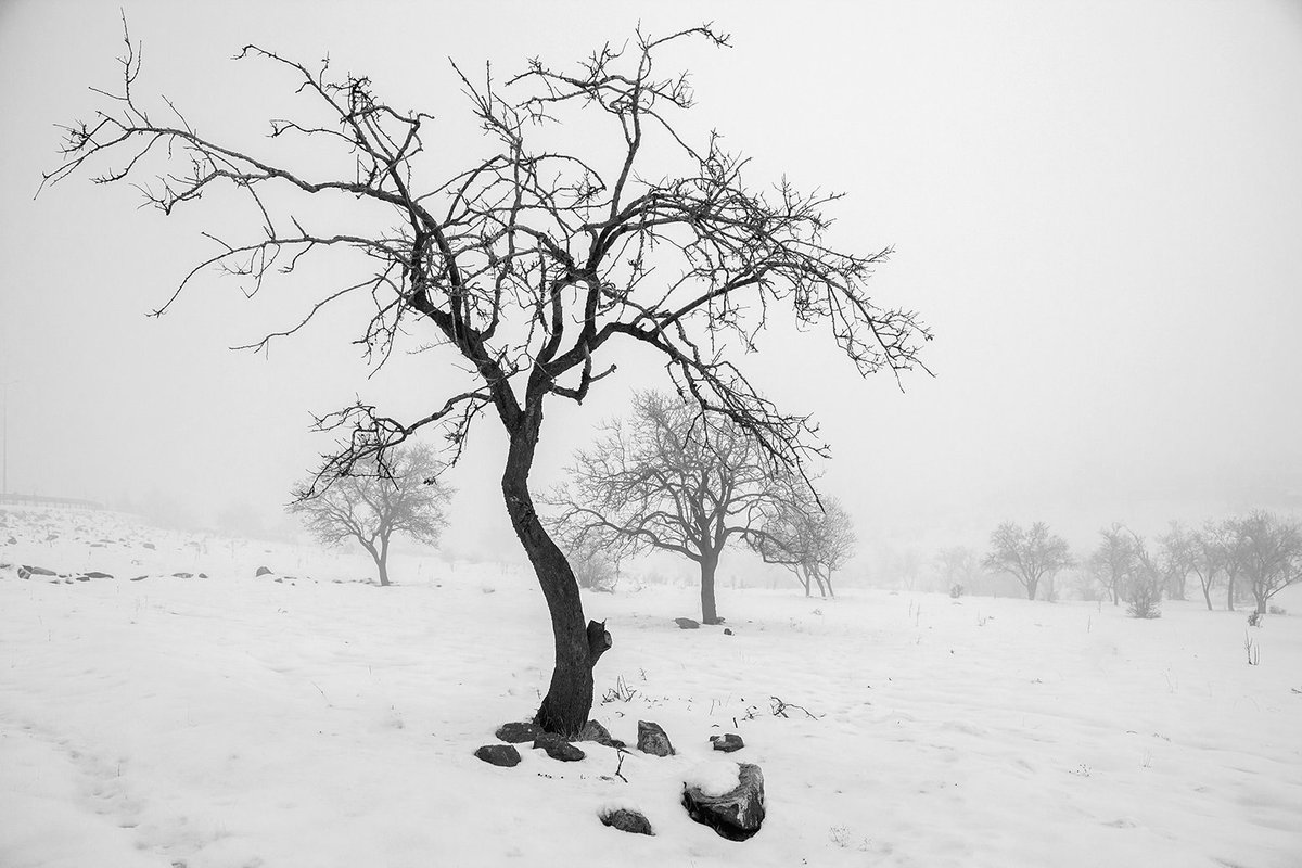 metinaliya (@metinaliya) on Twitter photo 