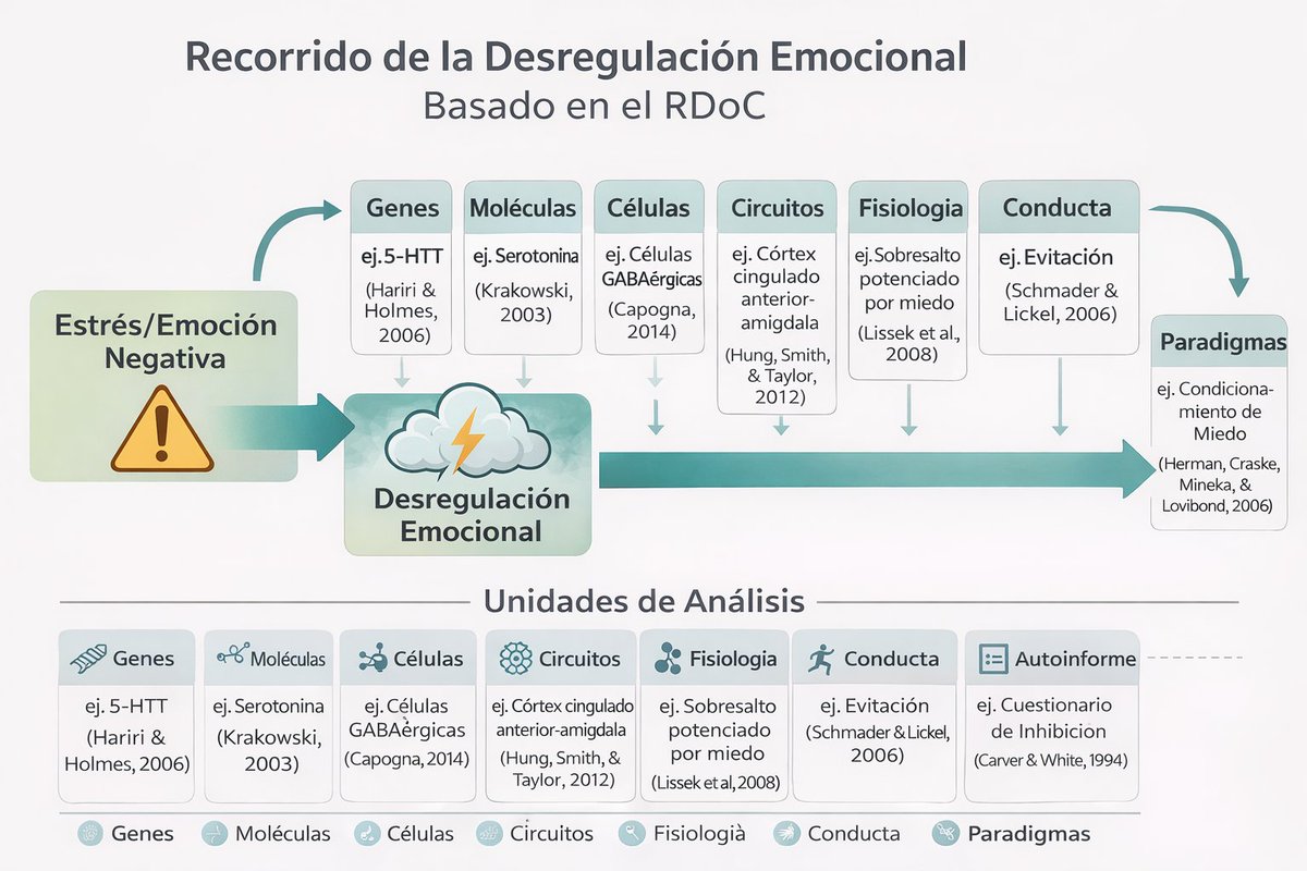 Gian Del Rio tweet media
