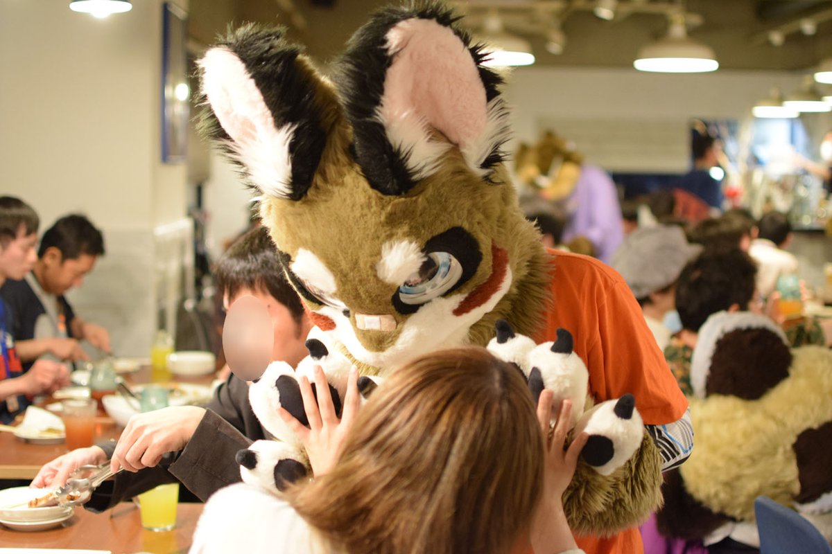 ケモノすてーしょん！🐾 tweet media