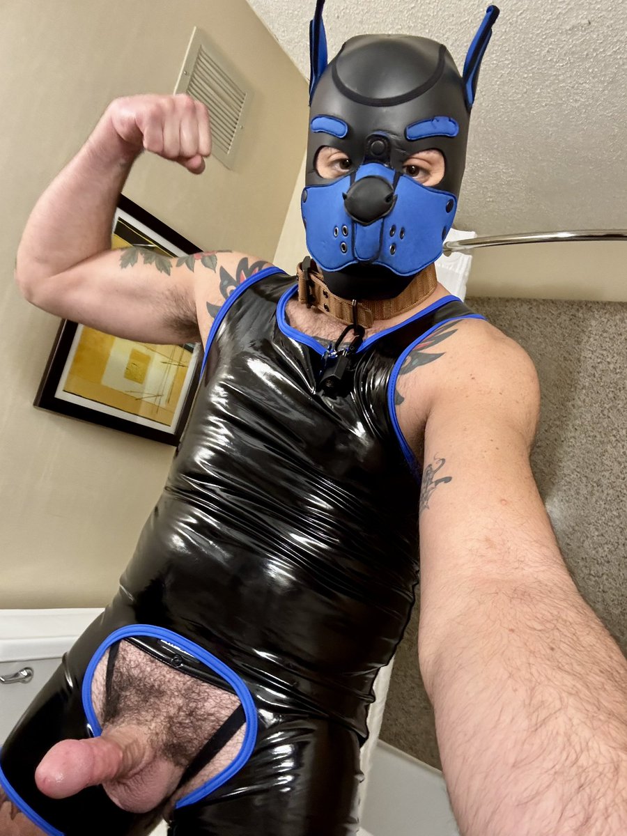 Cub_PK's tweet photo. Otto’s been out of town for a few weeks, but still manages to be a good boy for me. @QOtter https://t.co/XRQT4aQsZa
