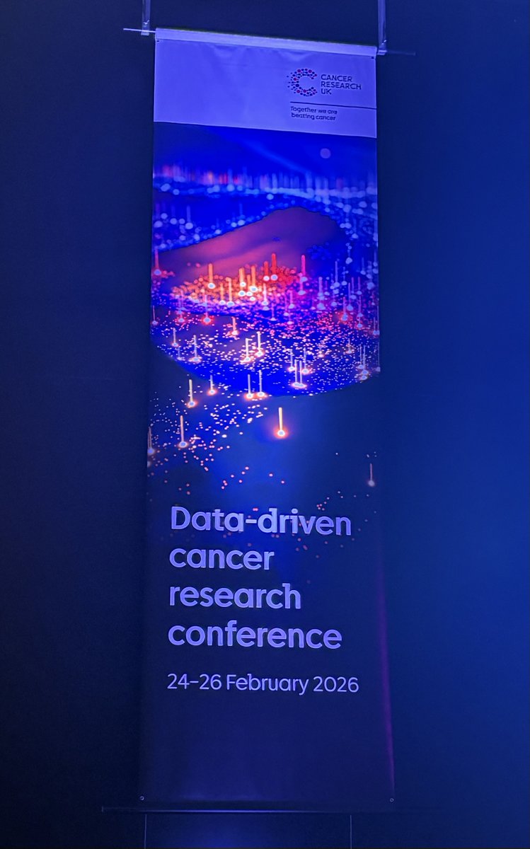 andi roy tweet media