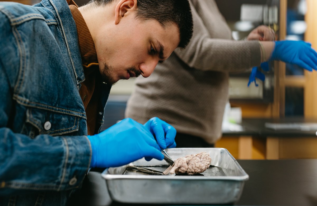 Bethel University tweet media