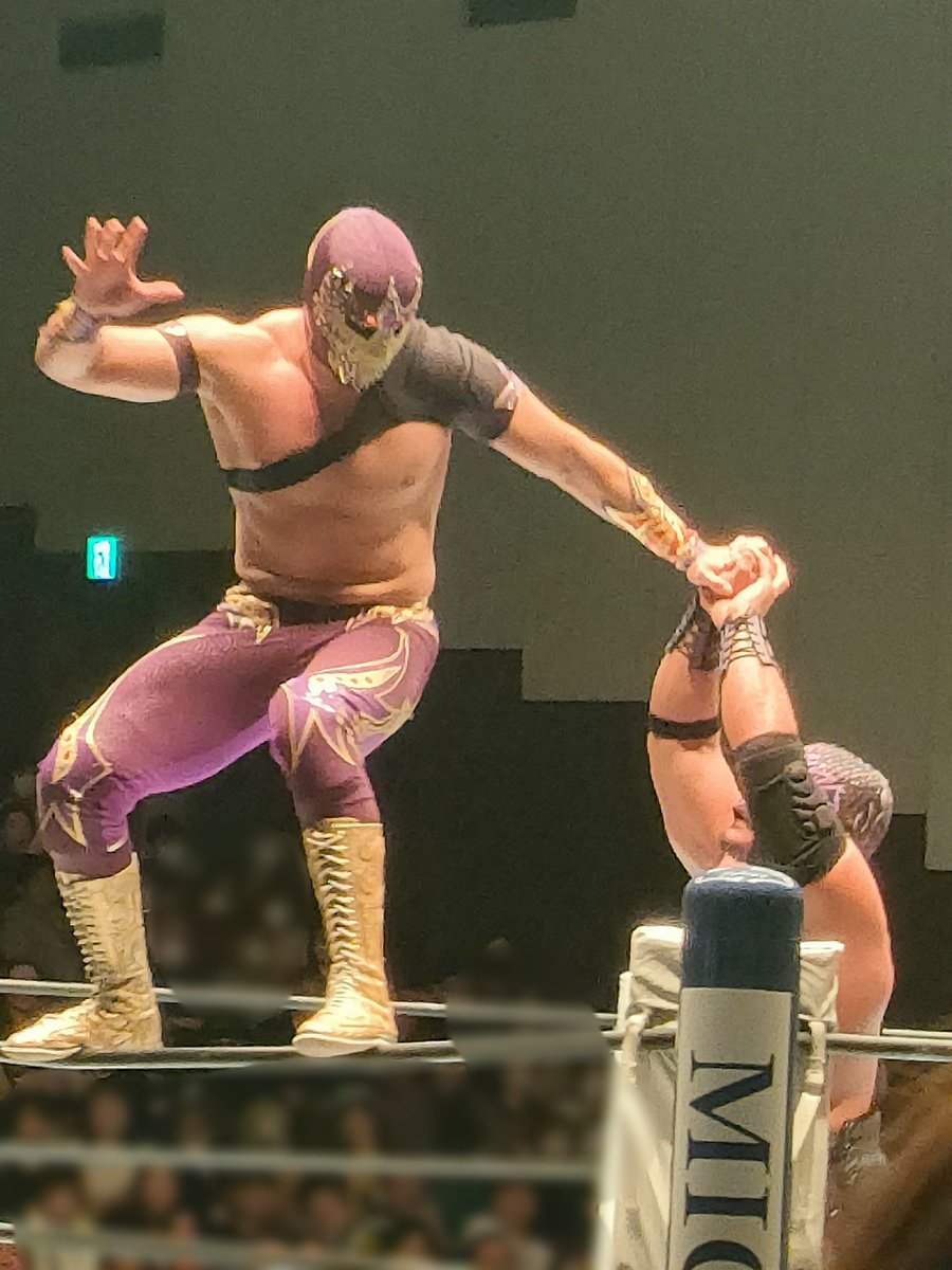 proceed2's tweet photo. 2026.02.26 後楽園ホール 今年も
CMLL FANTASTICA MANIA です https://t.co/7Gef7i08XL