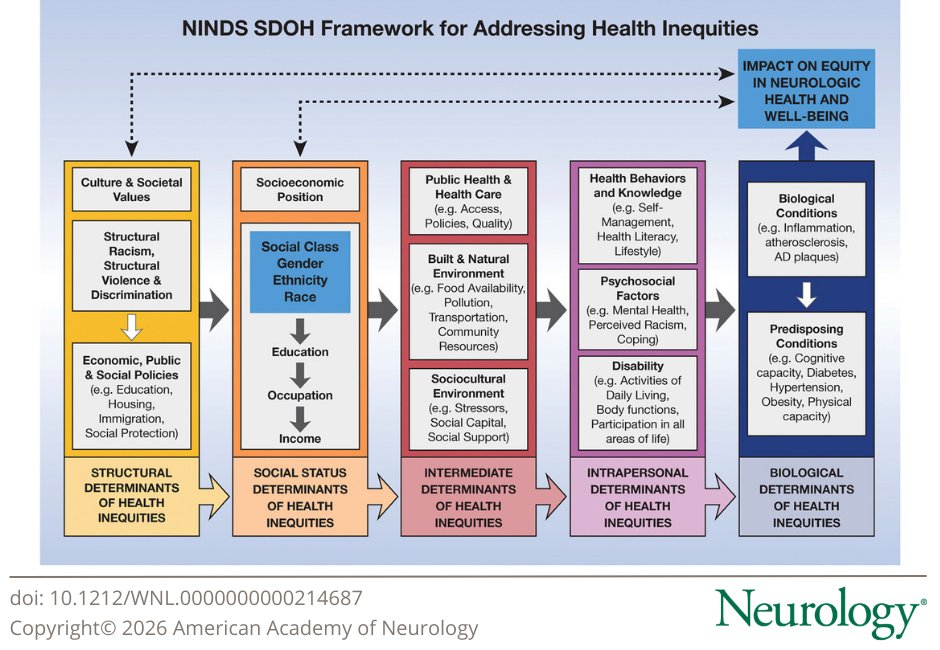 Neurology Journal tweet media