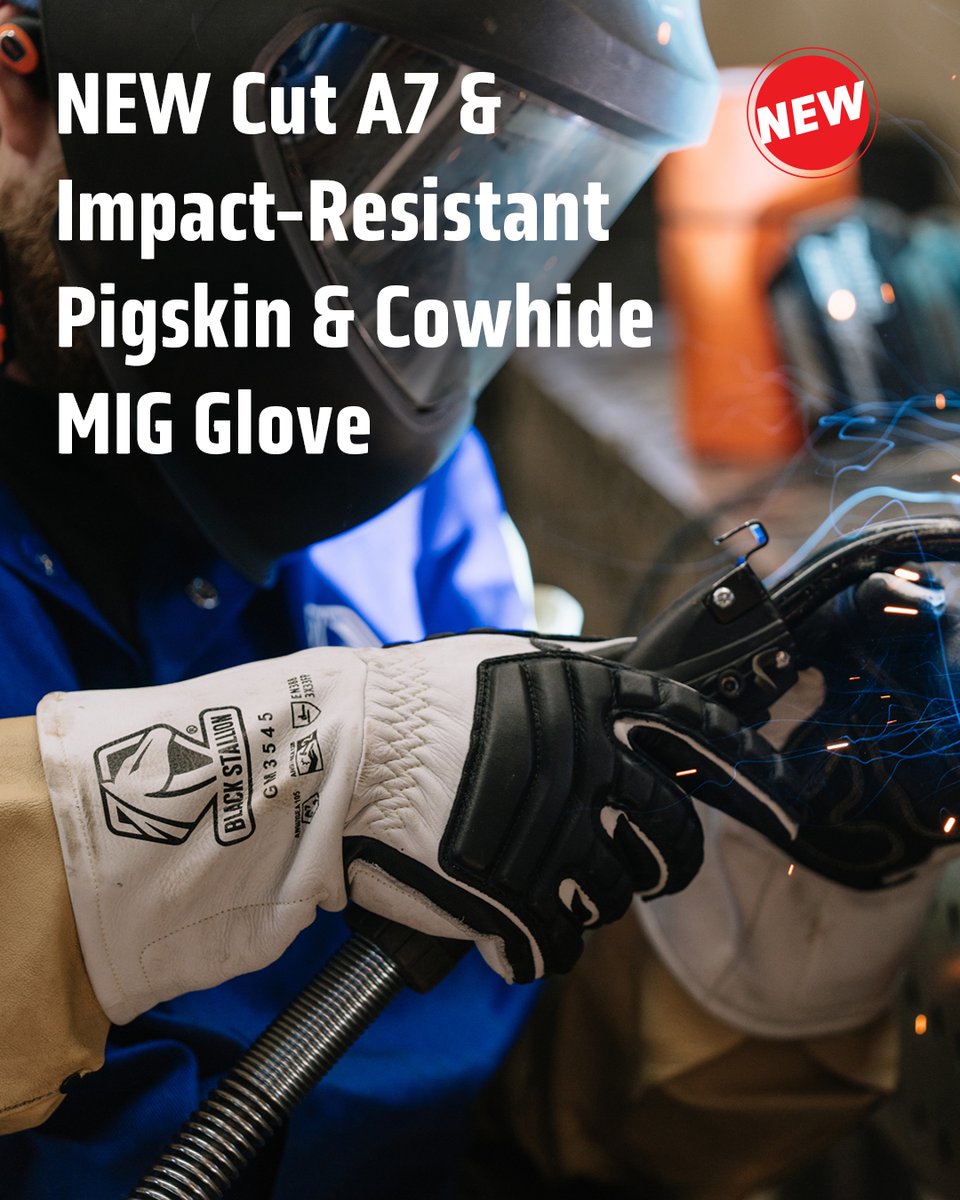 Black Stallion | BSX tweet media