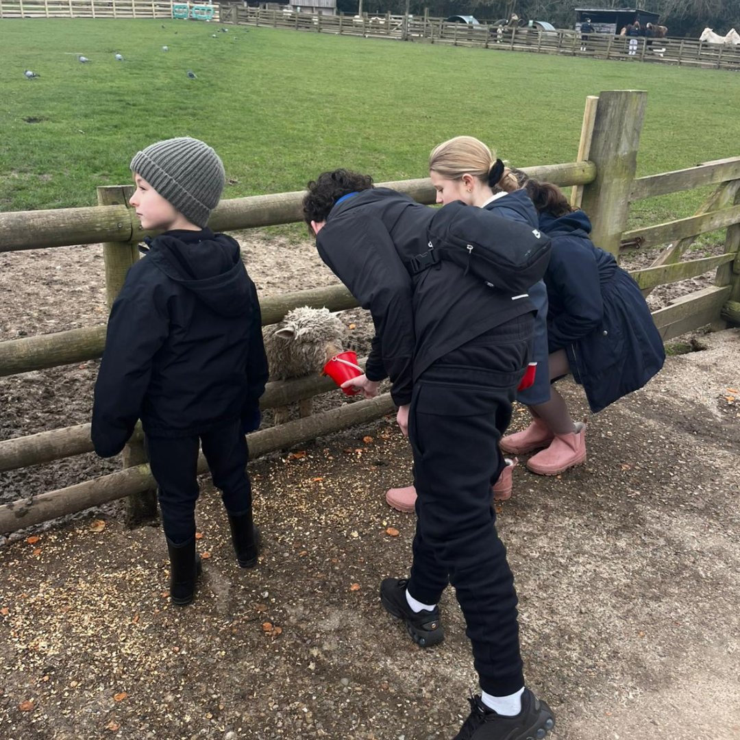 🌾✨ Half-term fun for Bexley fostering! Our Fostering Together community came together for a joyful day at a local farm, packed with laughter, exploring, and quality time between children and carers💛

#FosteringTogether #BexleyFosters #Community #MakingADifference #FosterCare