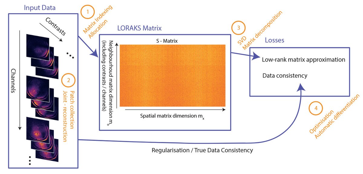 ApertureNeuro tweet media