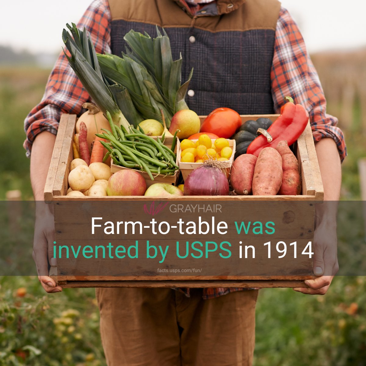 Before farm-to-table was trendy, USPS made it happen. From 1914-1920, farmers mailed fresh meats, eggs, dairy, produce, honey, and more directly to people in cities.

#USPS #FarmToTable #PostalHistory #DirectToConsumer #1914 #MailDelivery #FreshFood #HistoricalFacts