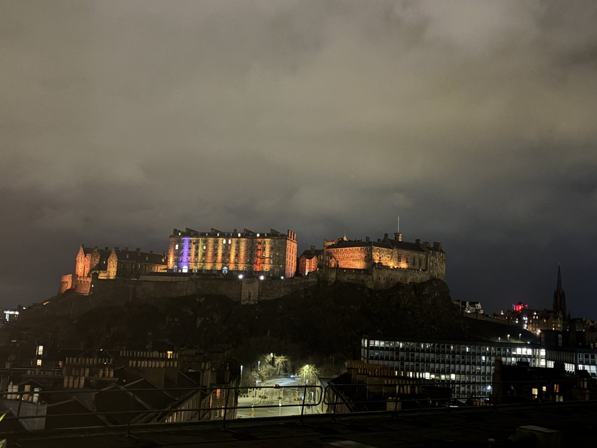 andi roy tweet media