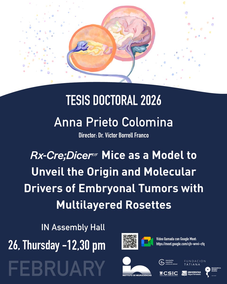 Instituto de Neurociencias UMH-CSIC tweet media