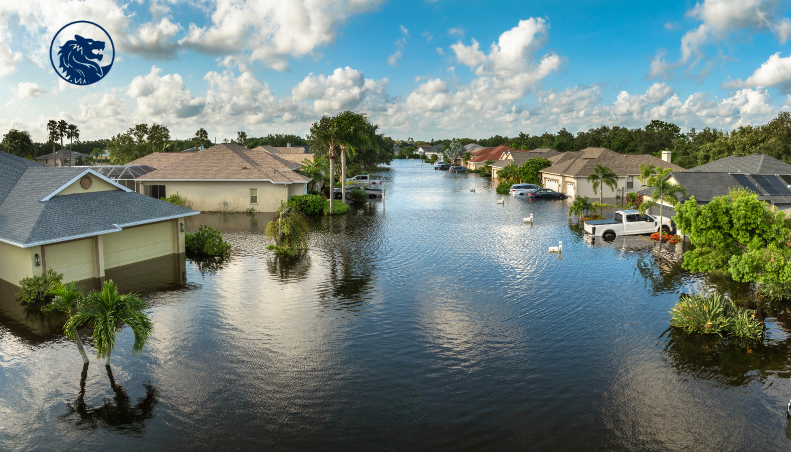 Running a small business in our #InflationaryEconomy isn't easy. With today's #InsuranceHardMarket, premiums are also increasing. Here are tips to help control your #BusinessInsuranceCosts.

barrowgroup.com/blog/strategie…

#BarrowGroupLLC, #ReplacementCosts, #RiskManagement