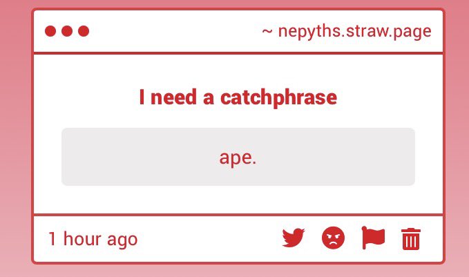 zey ( →ò〒ó←) FRANCHAELA S5 WE UP #teamjane ᢉ𐭩 tweet media