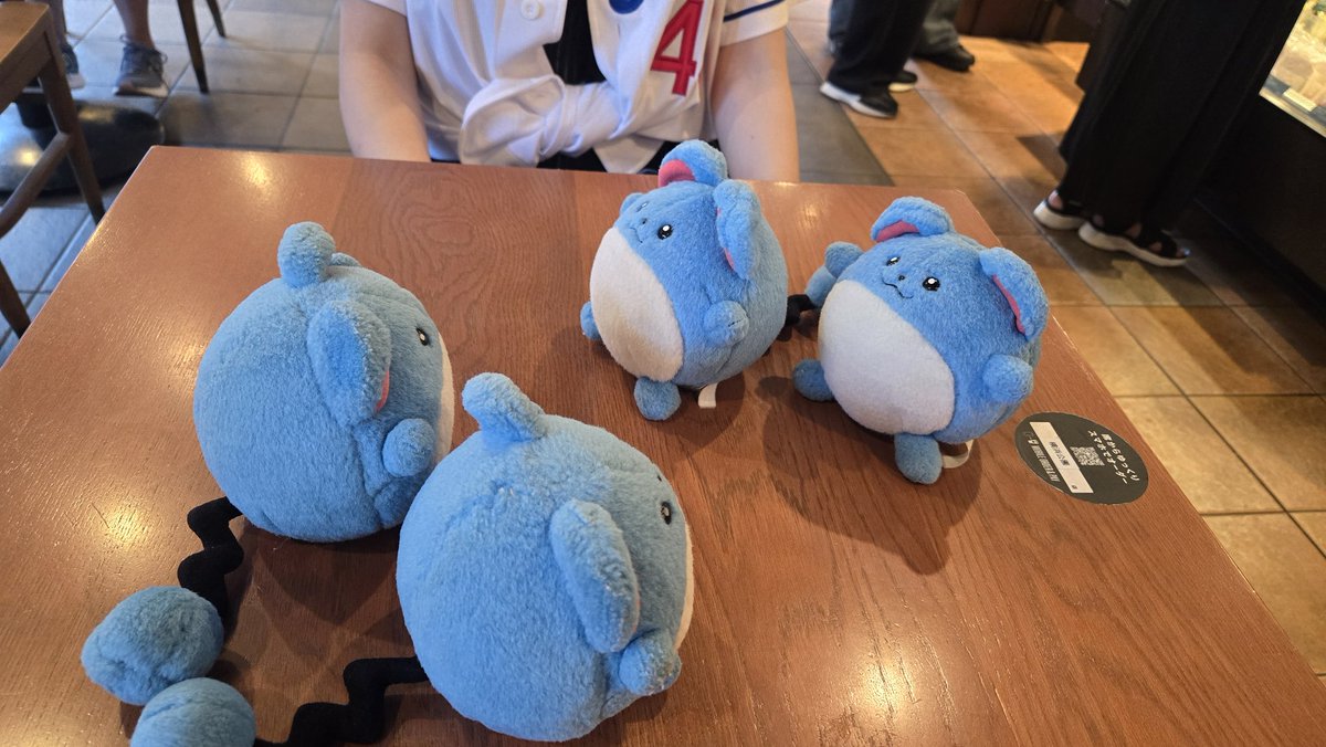 mizutamasanpo's tweet photo. はじめまして ちょびっとのきんちょうを感じるお写真 https://t.co/vjmeoTXyWz