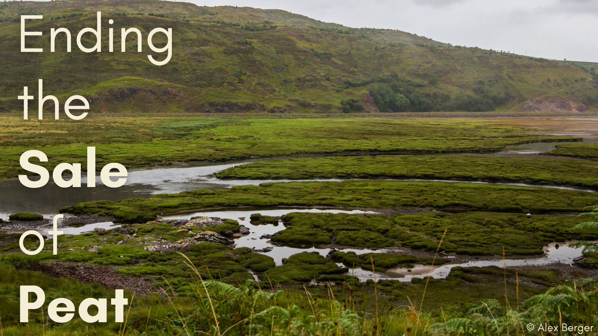 British Dragonfly Society tweet media