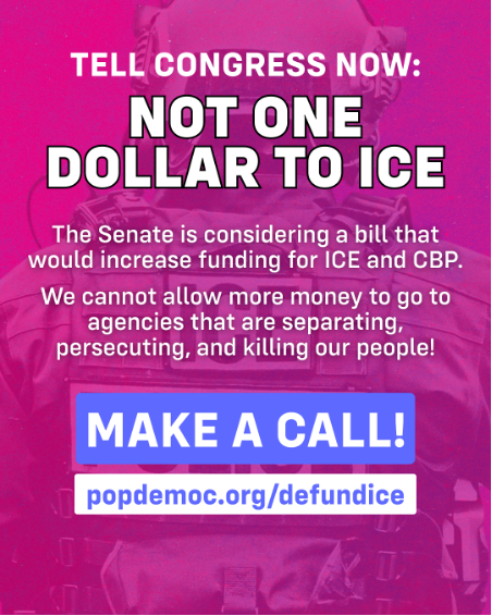 CHNAction's tweet photo. In this critical moment, it is more important than ever to keep the pressure on and ensure our elected officials hear from us. They must understand how vital it is to hold the line and move forward only with legislation that meets our demands and meets the moment we are in: https://t.co/VuzEQ3LnFe
