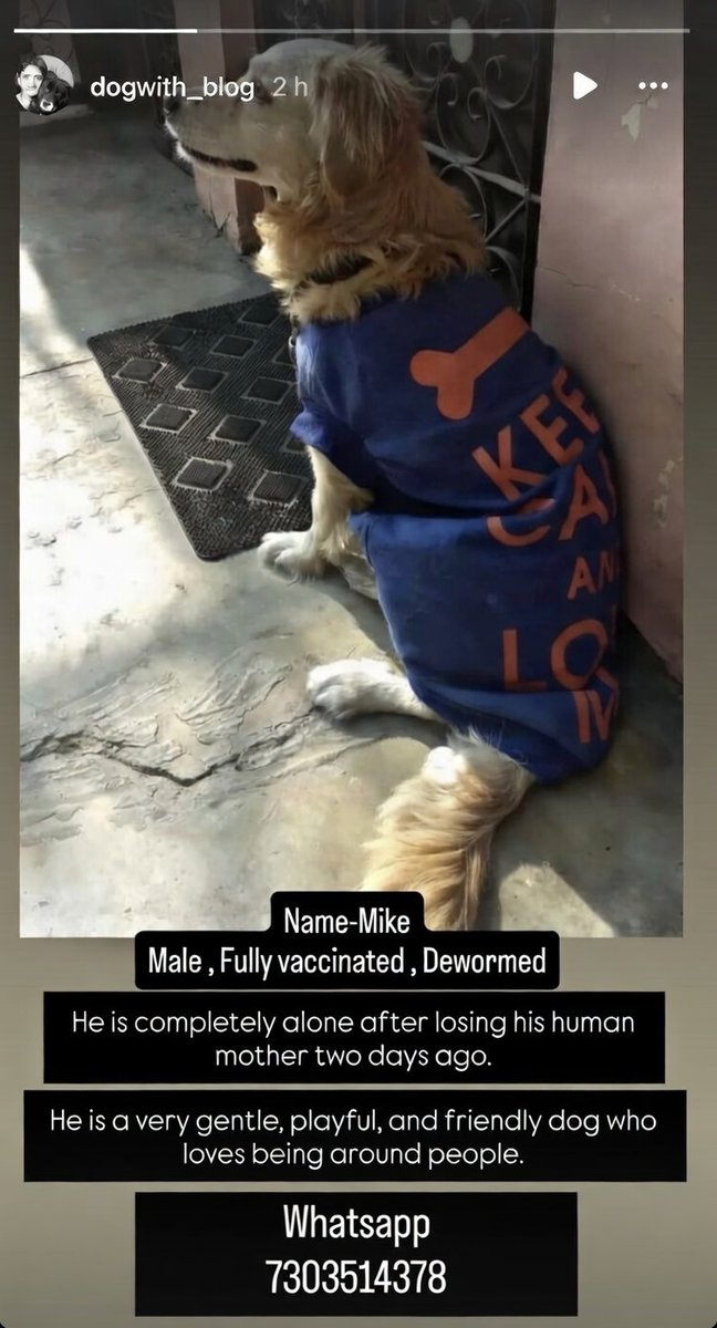 Abhishek Joshi 👨‍💻🐶 tweet media