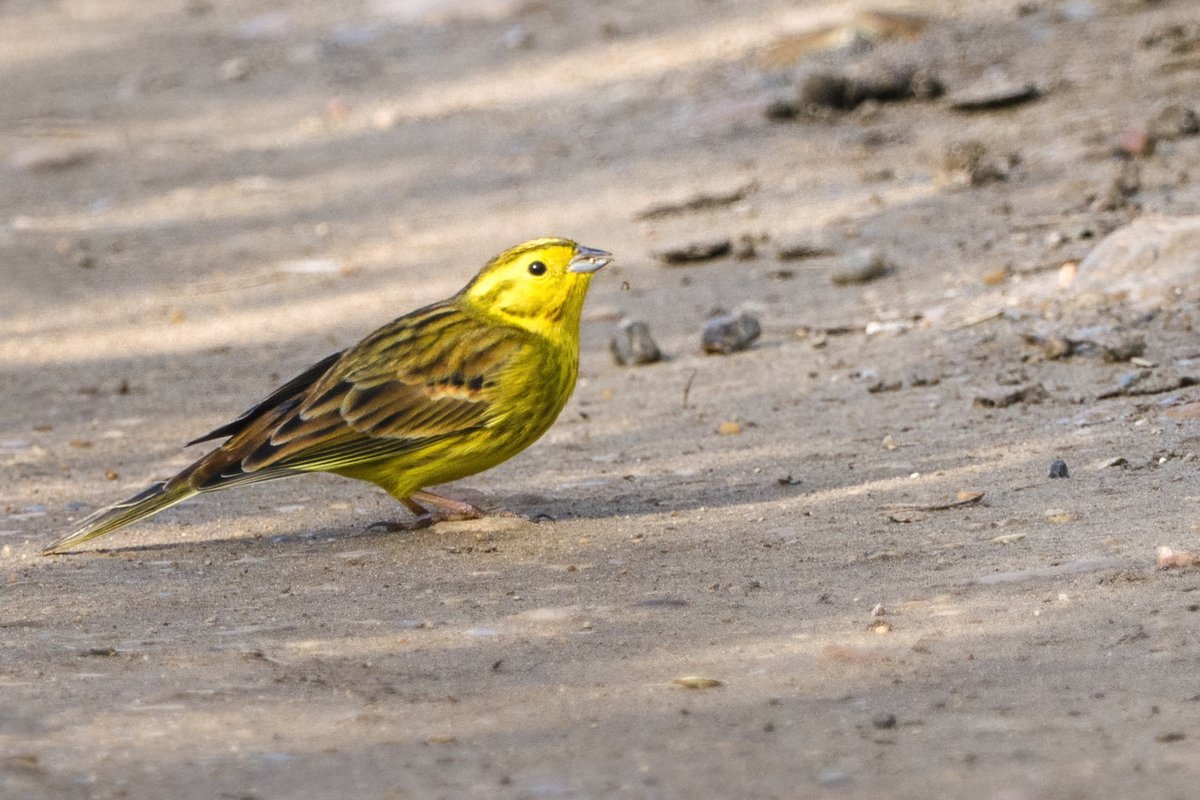 Andy Johnson tweet media