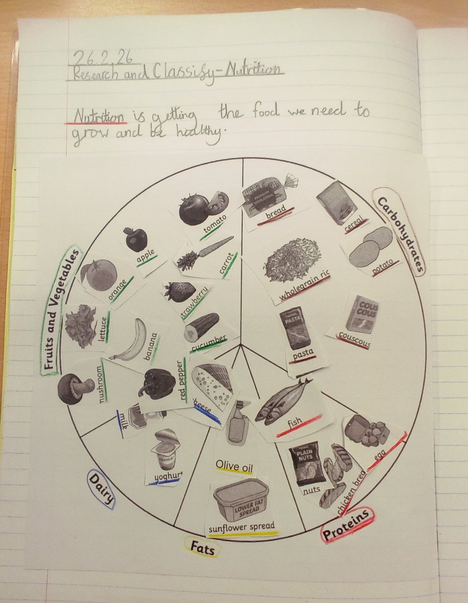 WBJYear3's tweet image. Y3 Science - We classified food items into the 5 main food groups and discussed how each food group benefits us. We enjoyed this video - bbc.co.uk/bitesize/artic…  @WBJJuniorSchool #wbjsscience