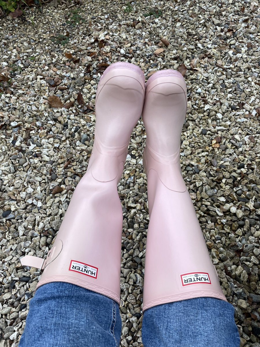 pikewilliam43 tweet media