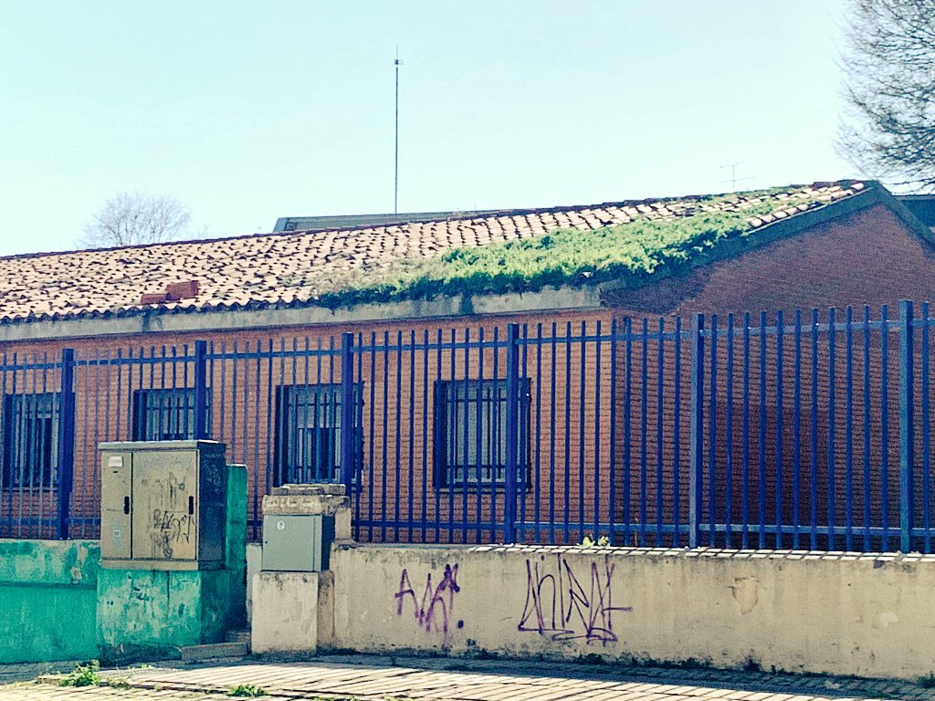 ⚠️INCREÍBLE

❌️El tejado del Colegio Público Marqués de #Leganés con un manto de hierbas que ha crecido sin control de ningún tipo

❌️Lamentable el mantenimiento de las instalaciones municipales

❌️Los colegios de nuestros hijos NO merecen esta desidia

#MadridSurEnPie💪🇪🇦
