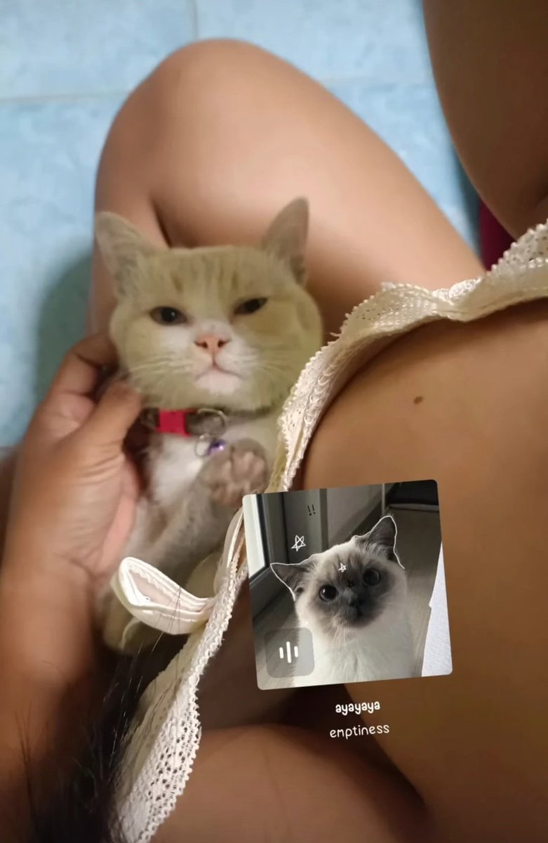 🧸ด.ญ.เสาวรส🧸 tweet media