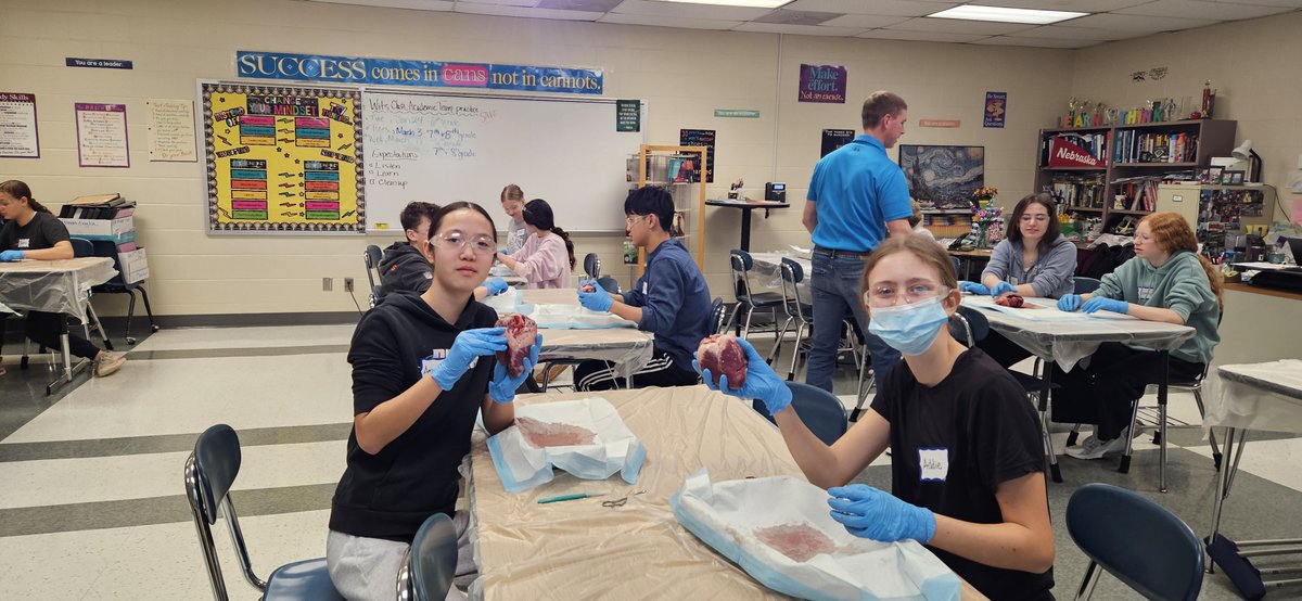 MPS_Kiewit's tweet photo. 8th HAL dissected a pig’s heart to explore the physiological links between organ systems and identify the general structures representative of mammals. #Proud2bMPS @MPS_HAL https://t.co/pugVSSHh7E