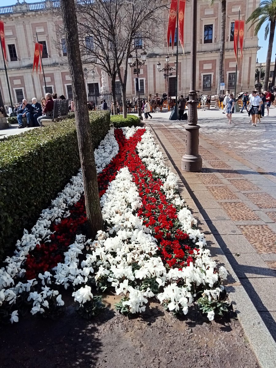Ricardo Suárez tweet media