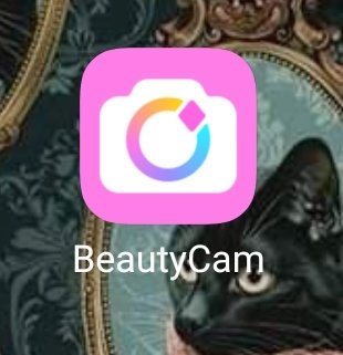 istrisahforce tweet media