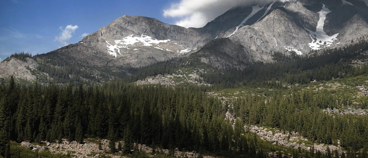 WorldCreator tweet media