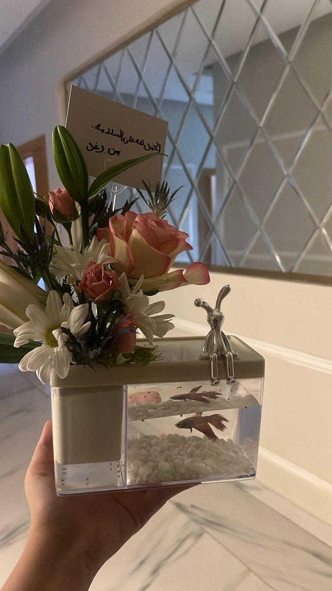 DPT.manal tweet media