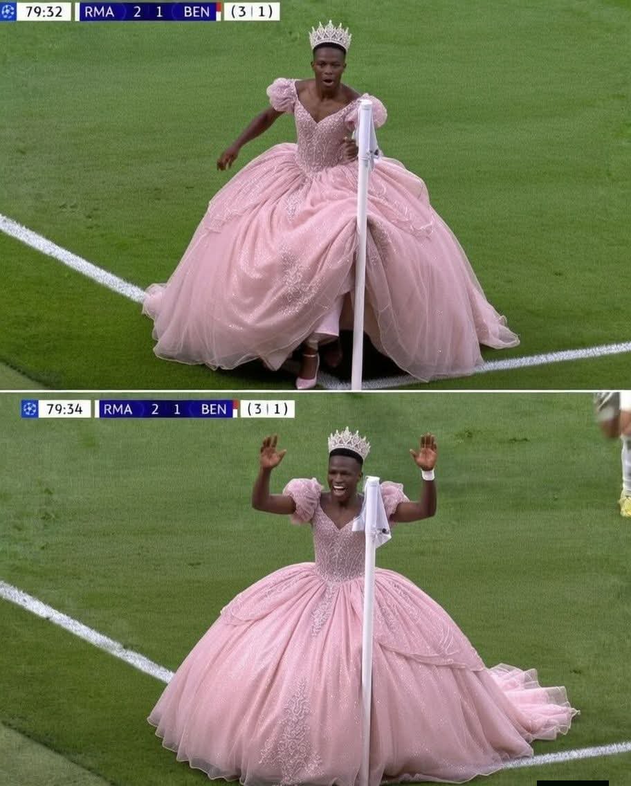 TOCAPILOTES tweet media