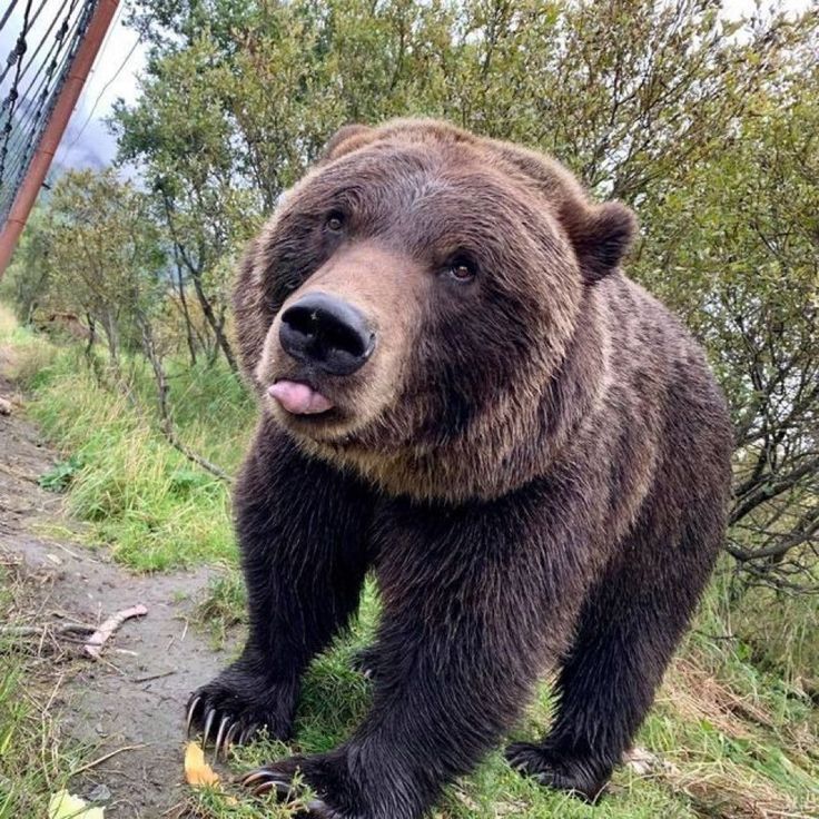 Bearlymedical's tweet photo. The end of a good date https://t.co/swybzYtExY