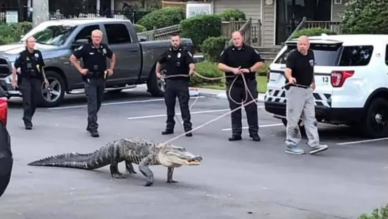 🔰MUFC_Cap🔰 tweet media