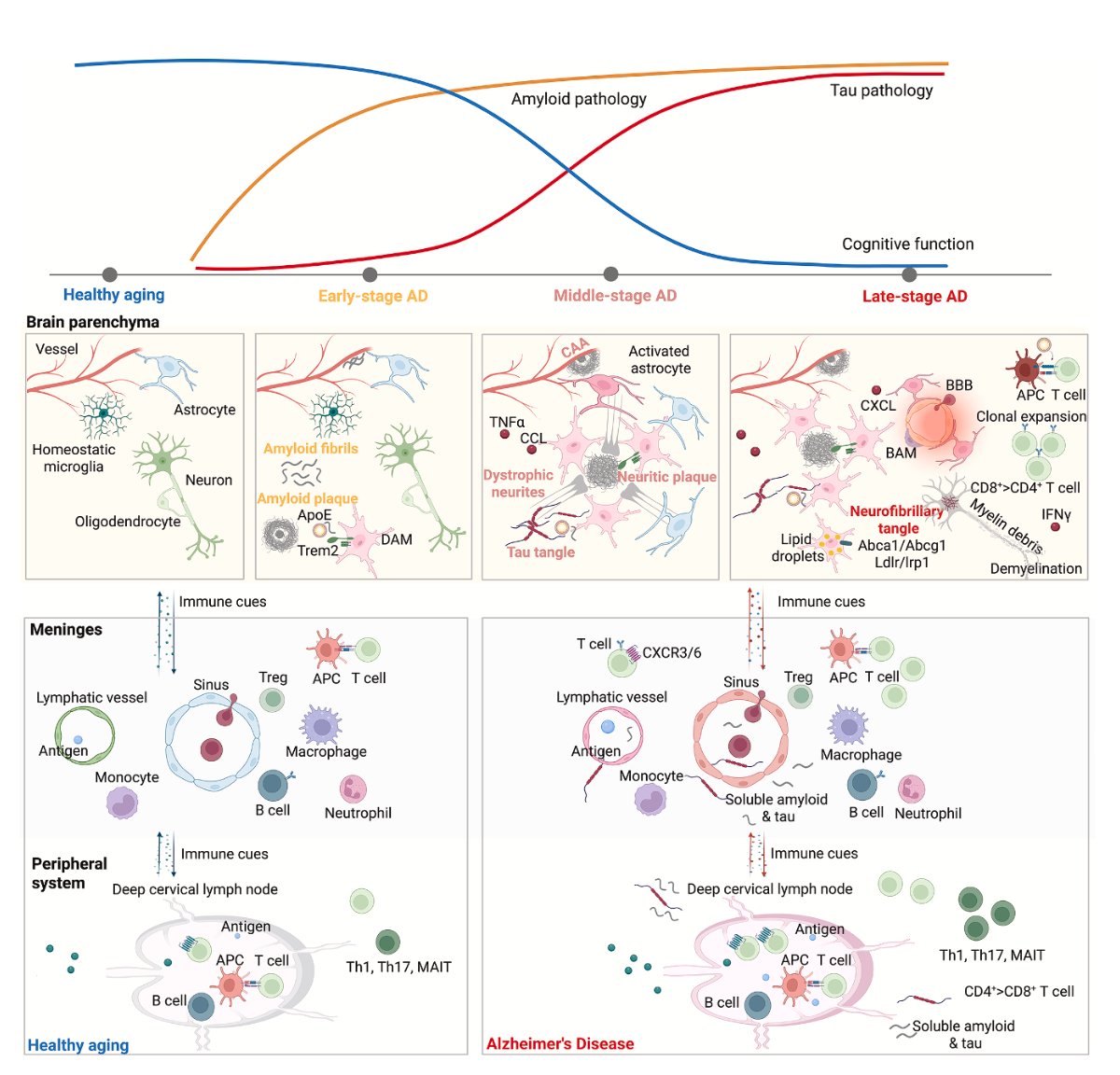 Eric Topol tweet media