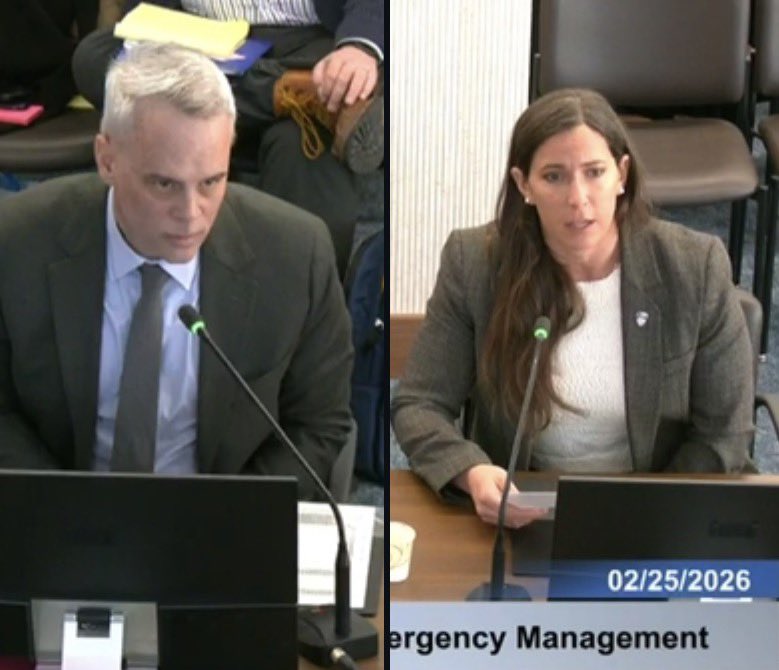 Joann Ariola NYC Council District 32 tweet media