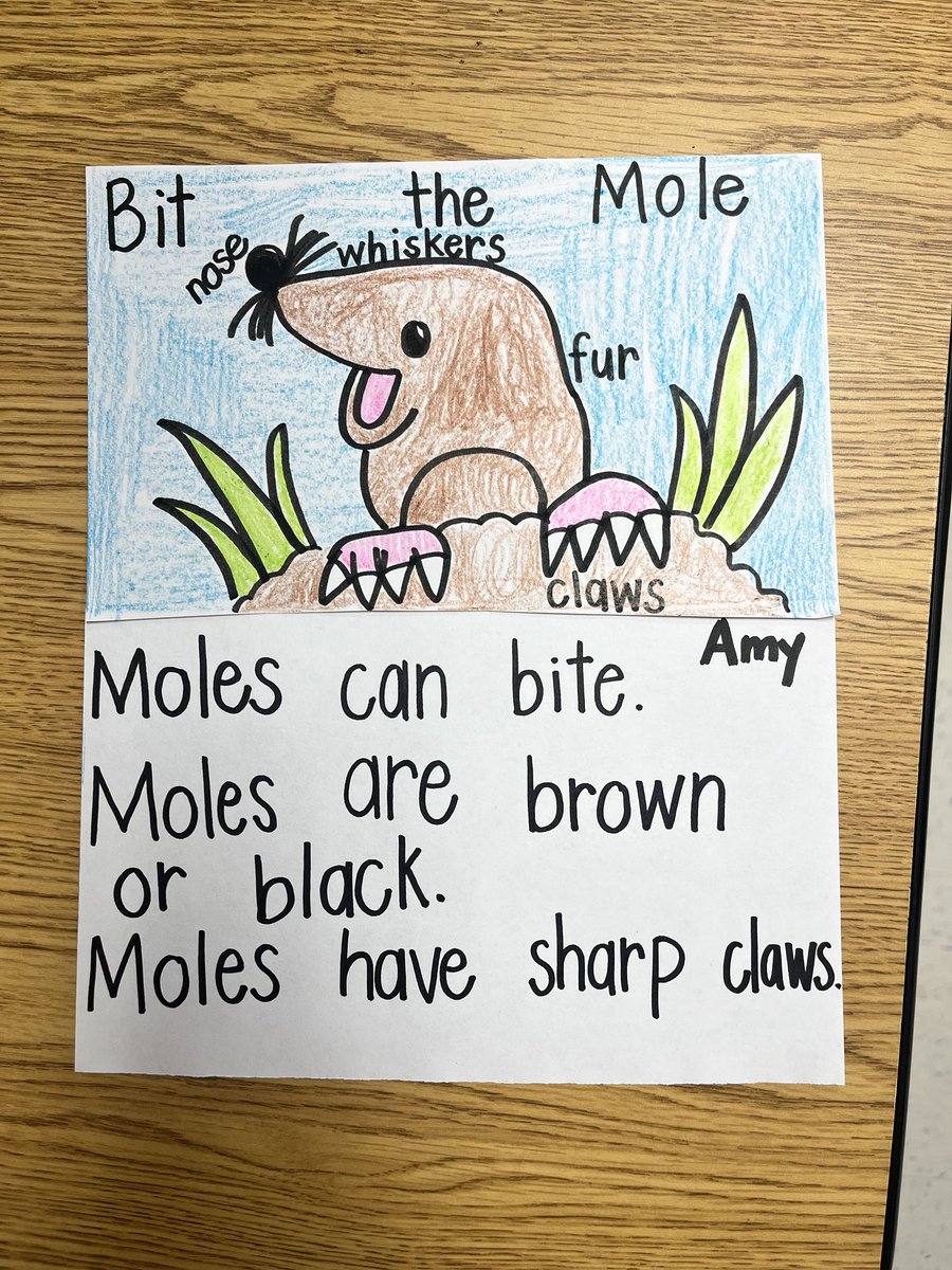 Our school’s mascot from Mrs Hairr’s classroom