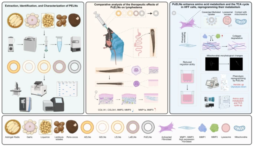 Extracellular Matrix News tweet media