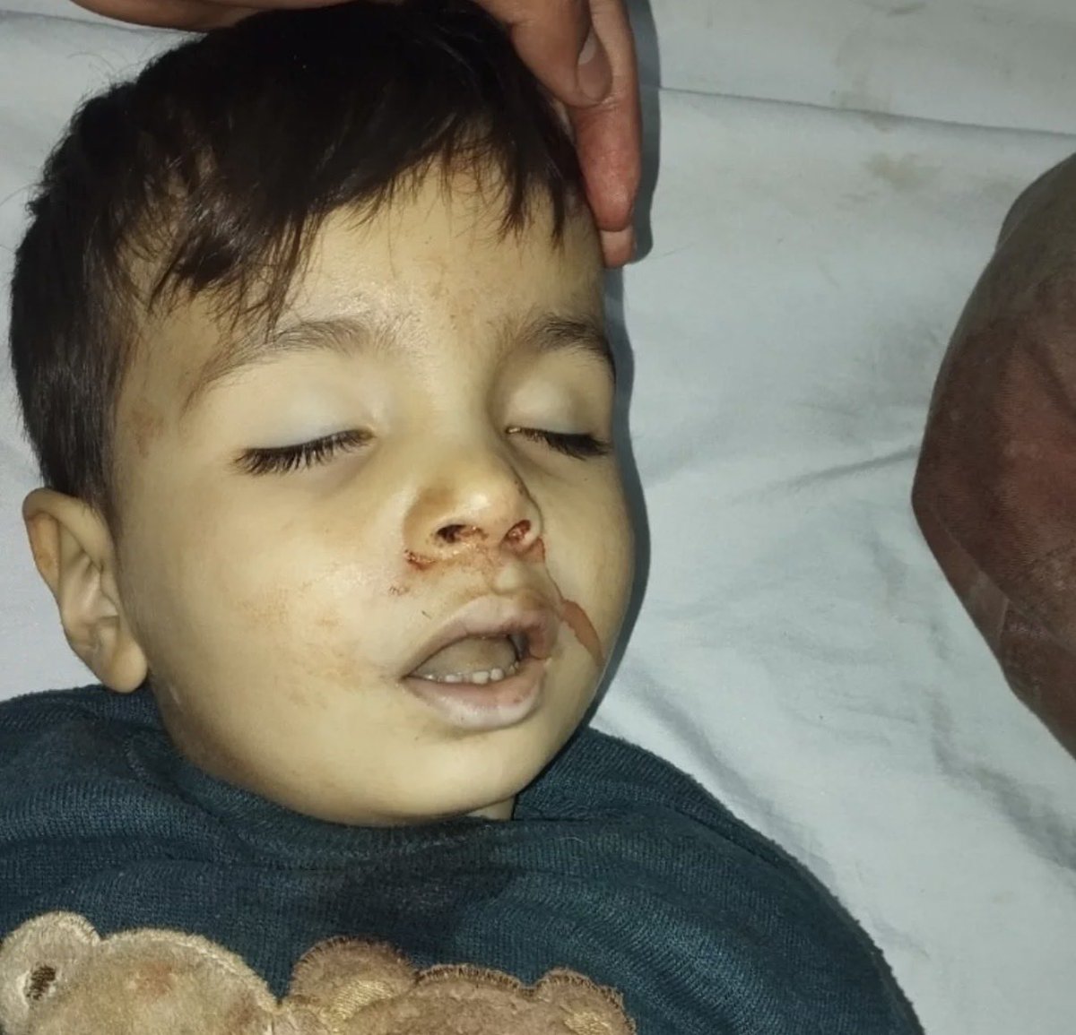 a #freeiran tweet media