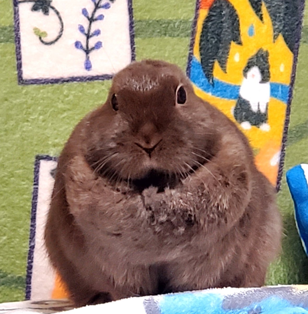 🔞A/SH🔞 tweet media