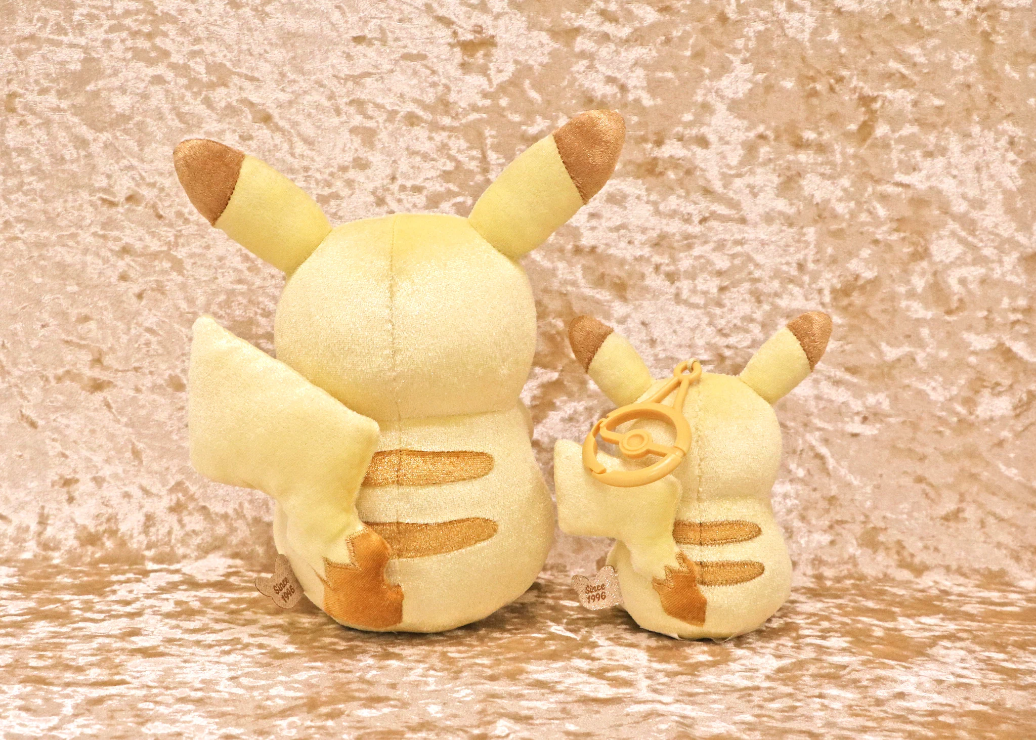 ポケモンだいすきクラブ編集部【公式】 on X: 