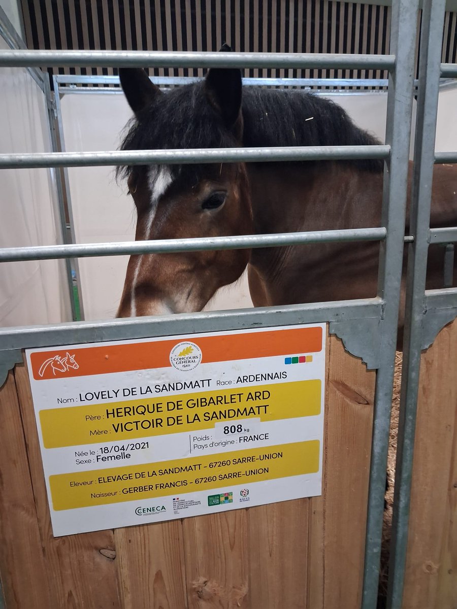 CREAT'EO IDF tweet media