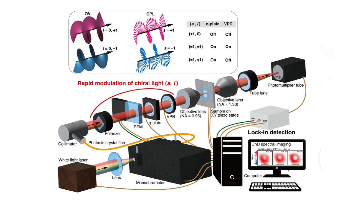 OpticaPubsGroup's tweet photo. Via #OPG_Optica: Unveiling orbital optical chirality through multipolar chiral light–matter interaction https://t.co/K0yA8d0vaC #Nanostructures #LightMatterInteractions @HokkaidoUnivPR https://t.co/SwTxABjG6G