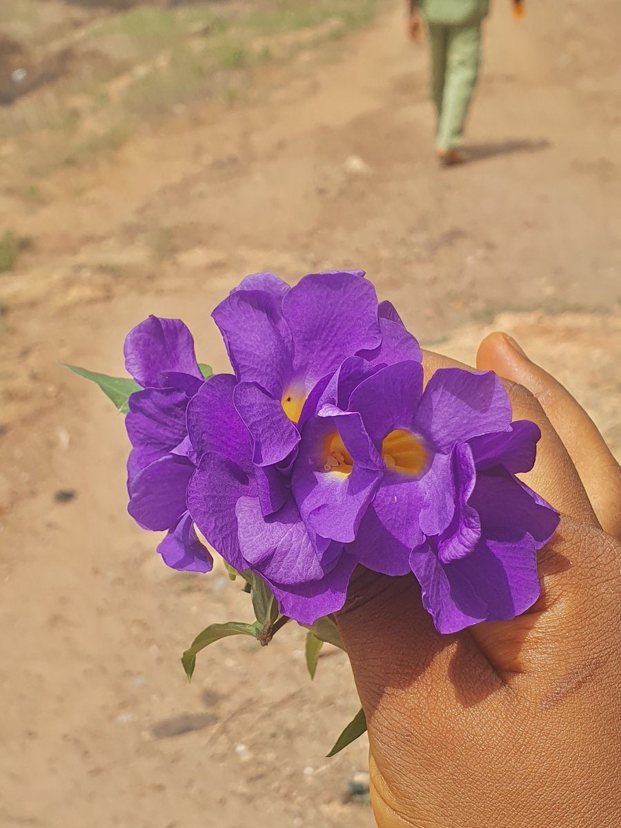 Little quiet joys💜.