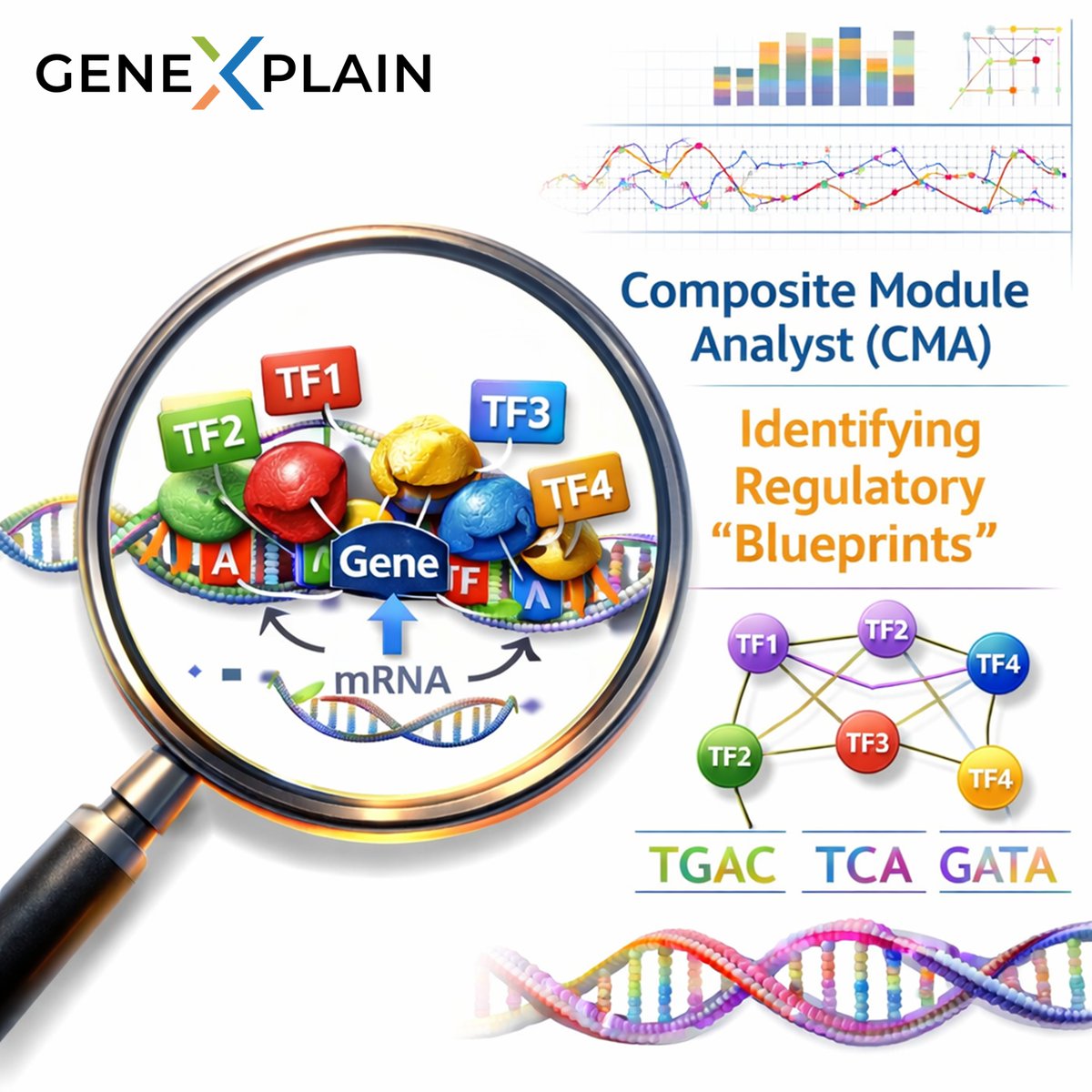 geneXplain GmbH tweet media