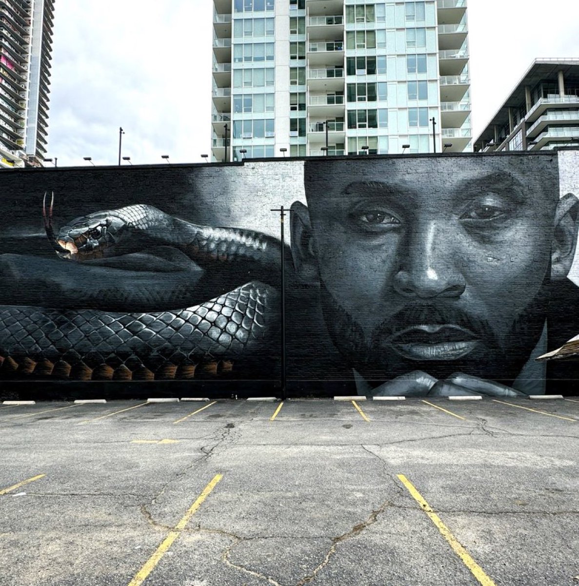 kobehighlight's tweet photo. Black Mamba forever 🐍 https://t.co/G3eMsZeZtM