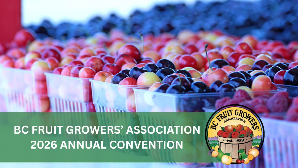 GreatLittleBox's tweet image. The BC Fruit Growers’ Convention is underway &amp;amp; we’re glad to be here. Looking forward to meaningful conversations and time spent with the BC fruit growing community. Stop by our table to connect and discuss label and packaging solutions. #packagingsolutions #bcfruit #horticulture