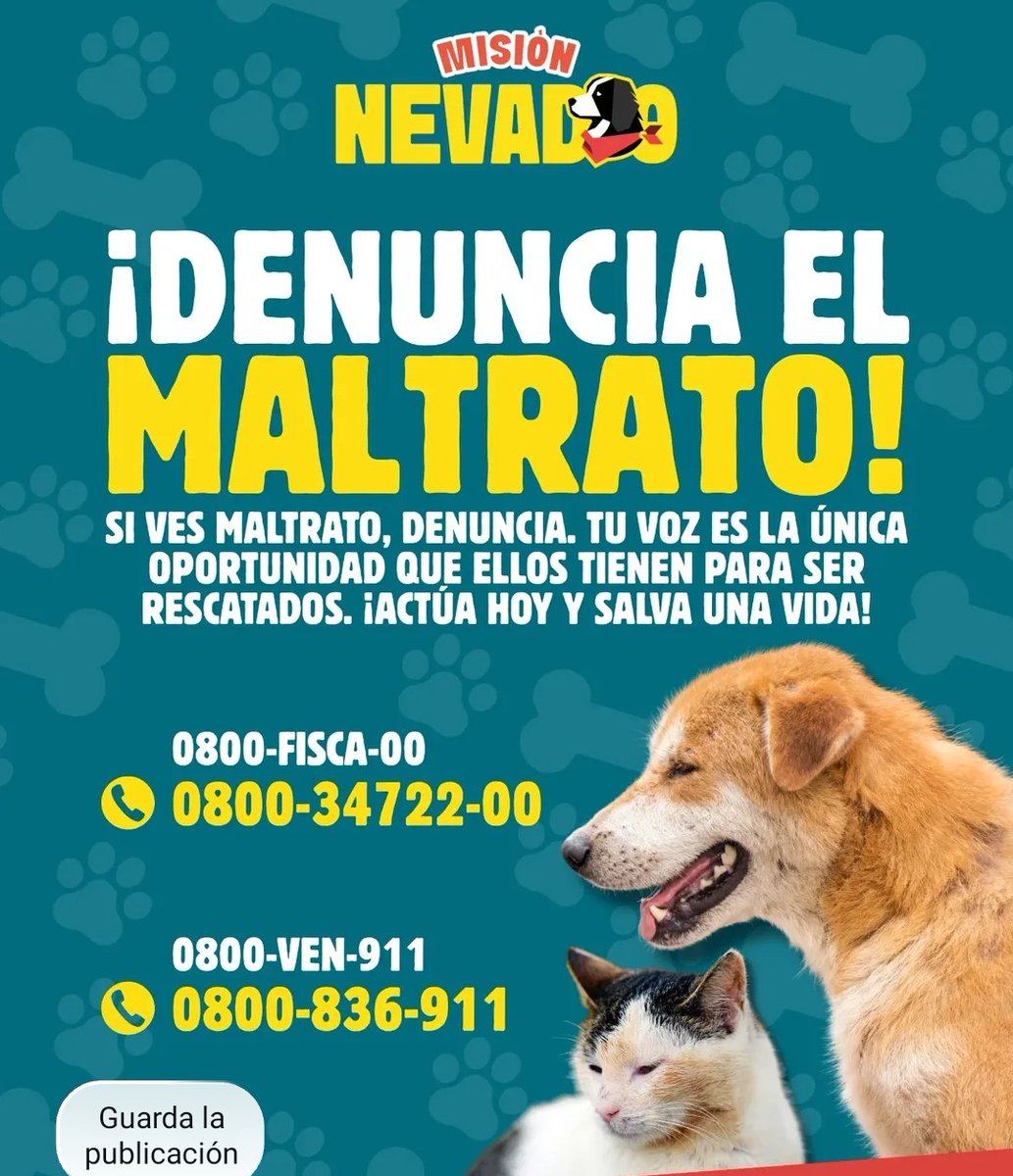 PerroUsuario's tweet photo. Por favor guardemos y compartamos estos contactos. Son de gran importancia. Nosotros somos su voz. No podemos permitir más crueldad animal.¡¡Denuncia!! https://t.co/ek5sTsQJJR
