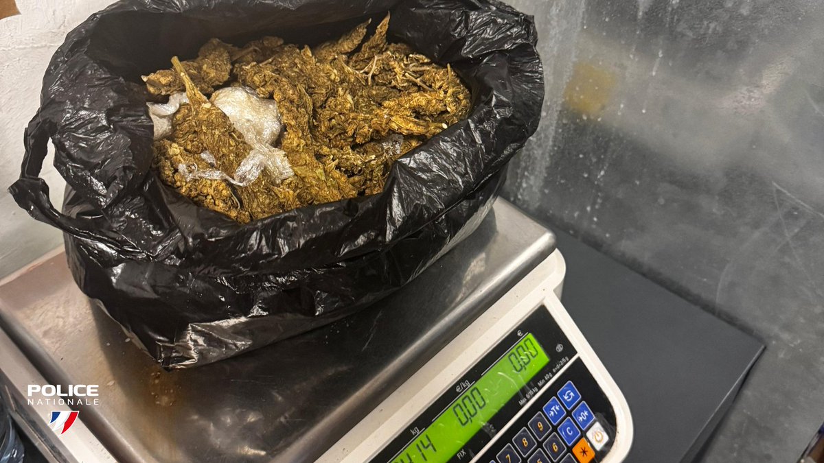 PoliceNat973's tweet image. #Interpellations | 🚨 Les #Policiers de la Compagnie Départementale d'Intervention ont procédé à l'interpellation de 2 individus pour trafic de stupéfiants à la suite d'une transaction sur la voie publique.
❌Saisie de 414 grammes d'herbe de cannabis.
#PoliceNationale