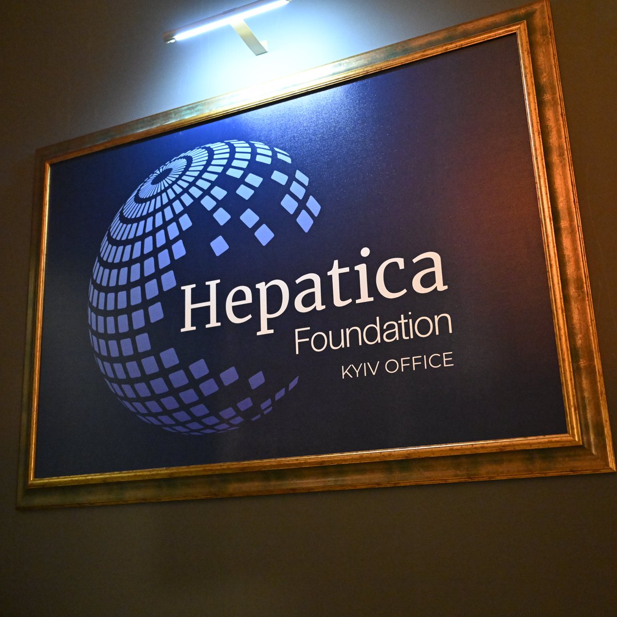 Hepatica tweet media